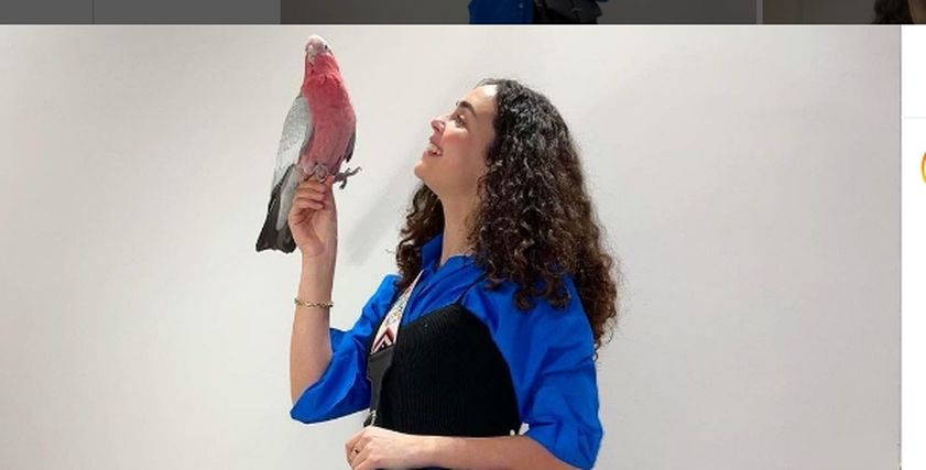 سارة هيثم