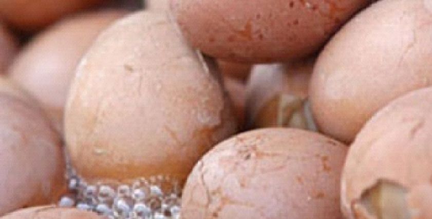 للوقاية من «السالمونيلا».. طرق التعرف على صلاحية البيض قبل تناوله