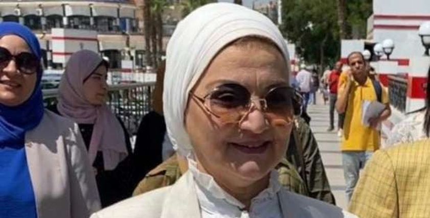 ميرفت السيد أحمد
