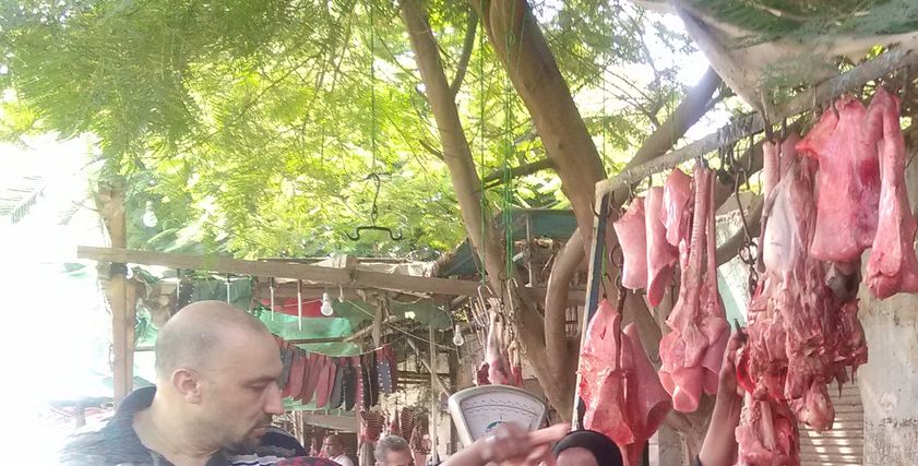 بهية