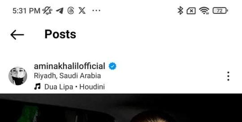 أمينة خليل