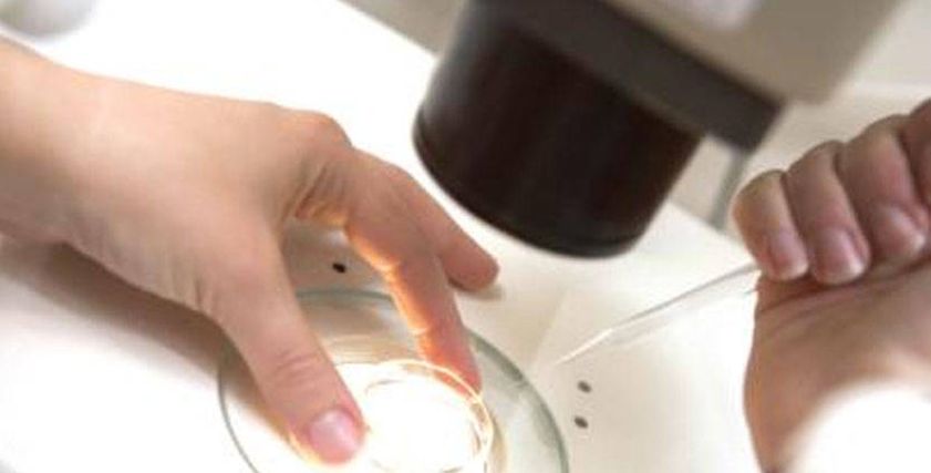 ما هى المخاطر الصحية لإجراء عملية تجميد البويضات؟