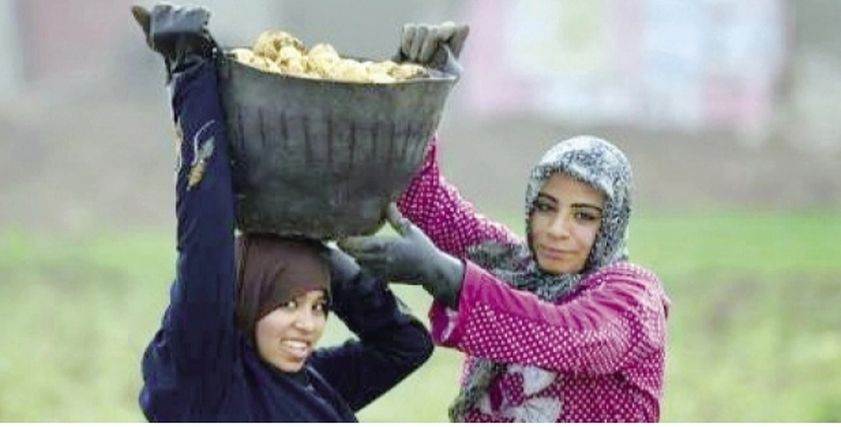 سيدات في مهام صعبة.. 