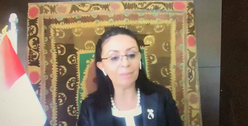 مايا مرسى رئيسة المجلس القومى للمرآة