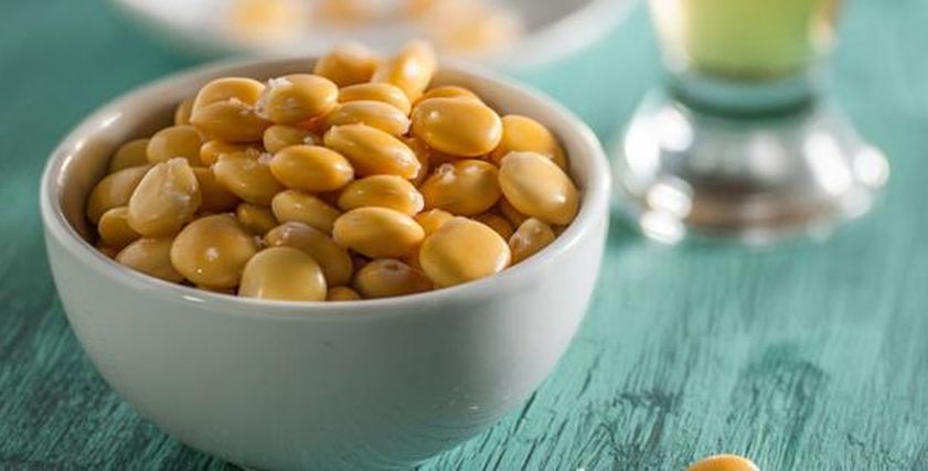 فوائد الترمس