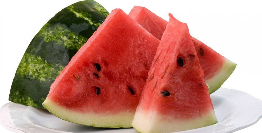 البطيخ
