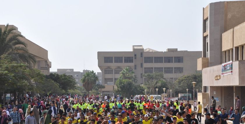 جامعة حلوان