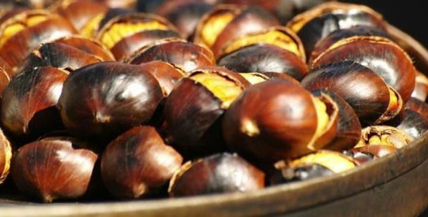 فوائد أبو فروة للرجال