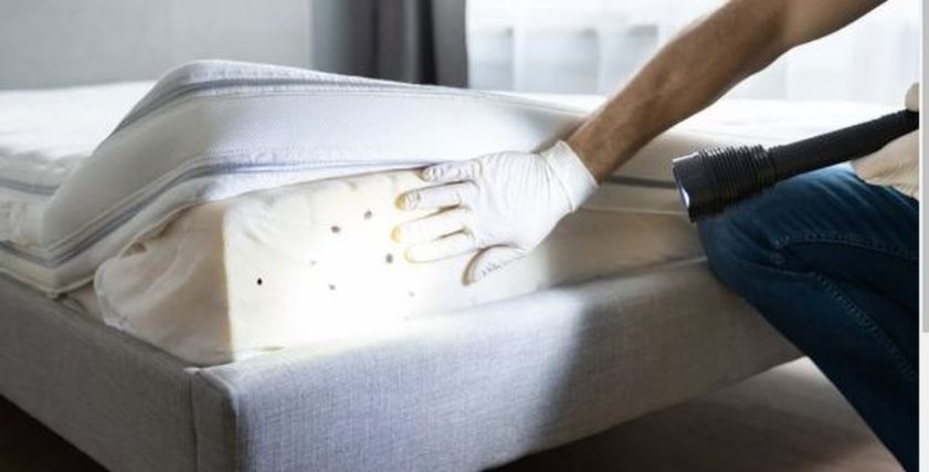 5طرق تساعد في التخلص من البق في المنزل 