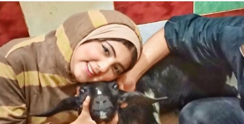 منة الله