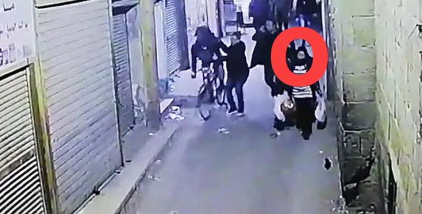حاملة الأكياس