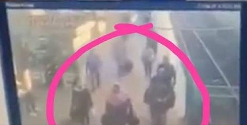 شبيهة