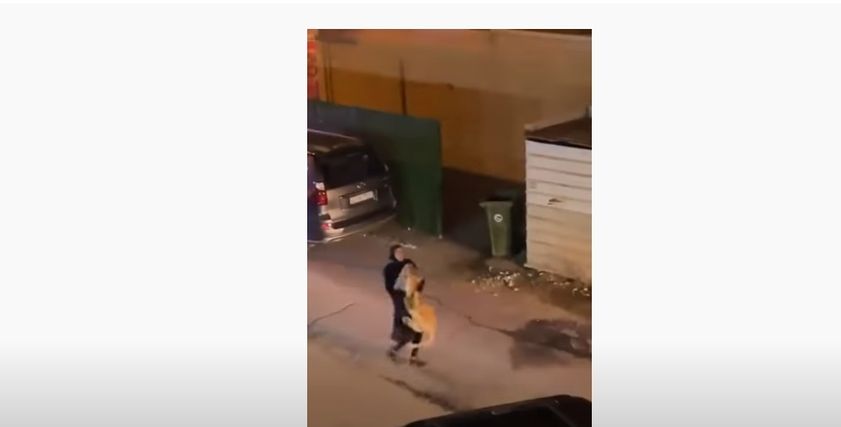 فتاة تسيطر على أسد