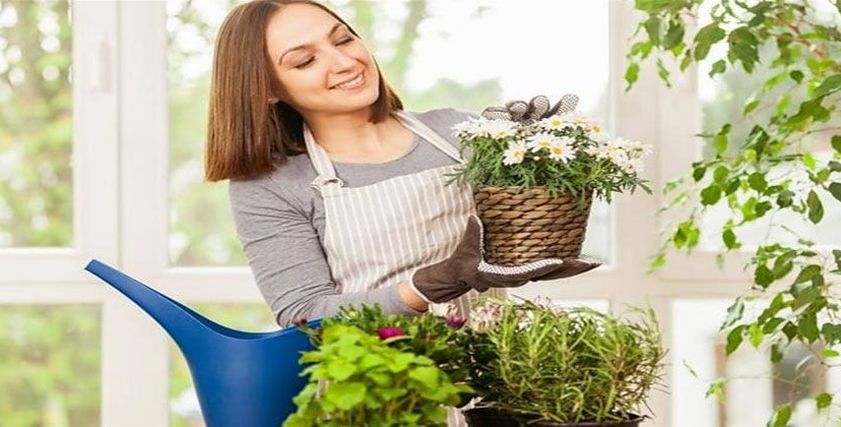 العناية بالنباتات