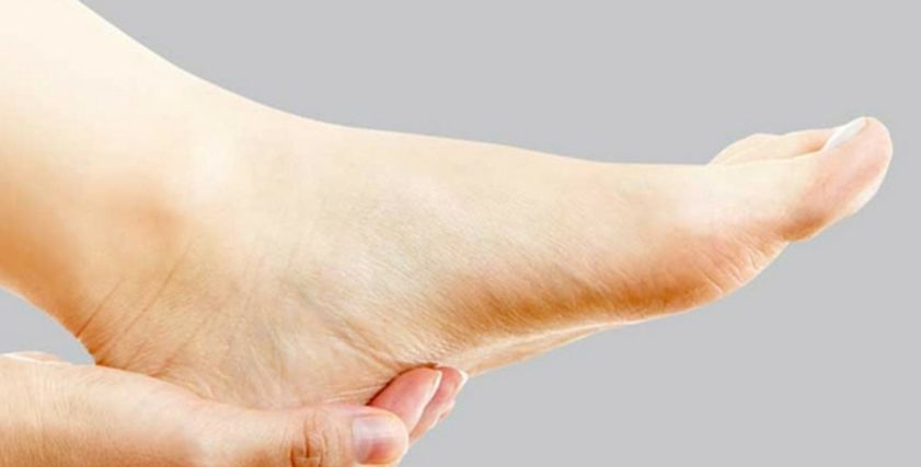Heel