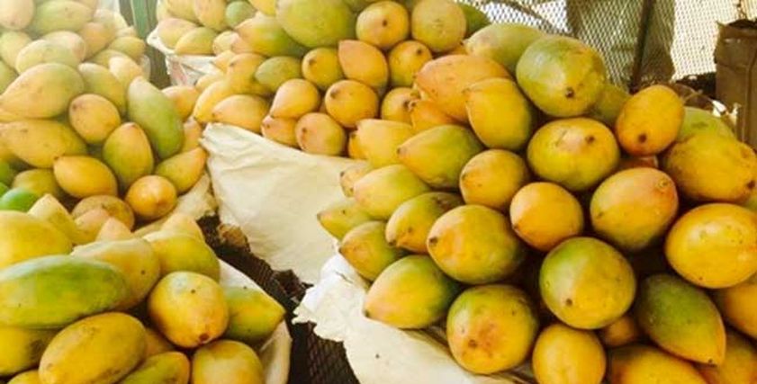 المانجو العويس في الأسواق- صورة تعبيرية