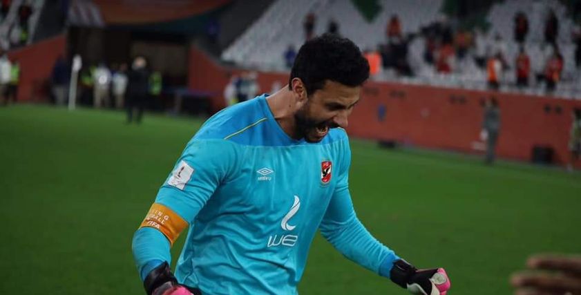 محمد الشناوي