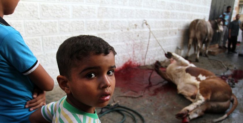 صورة ارشيفية