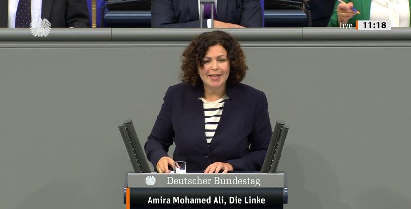 المحامية أميرة محمد على