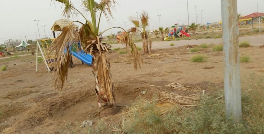 حديقة مهجورة