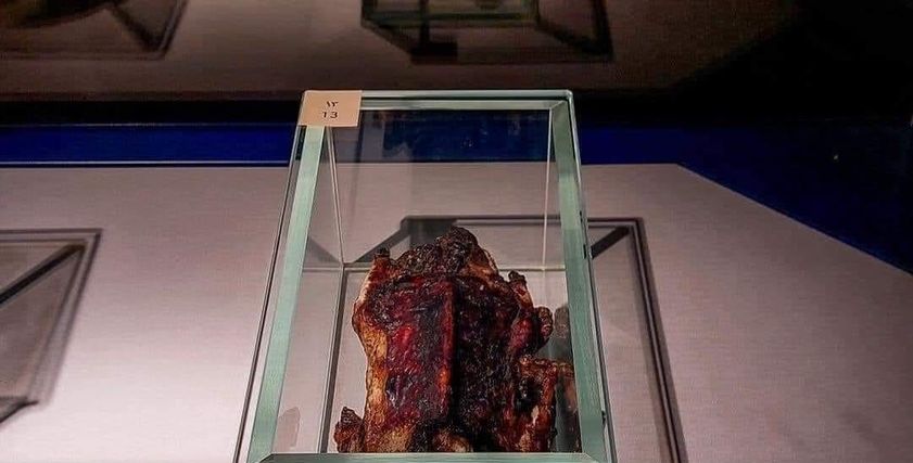 سر بطة بمتحف التحنيط أثارت جدلًا عبر السوشيال ميديا