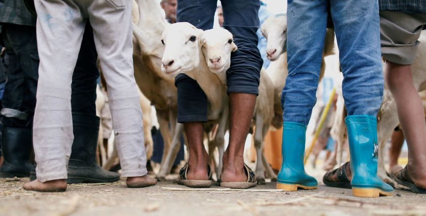 بعد إجازة العيد.. الفراولة منقذك الوحيد من أمراض الجهاز الهضمي والقولون