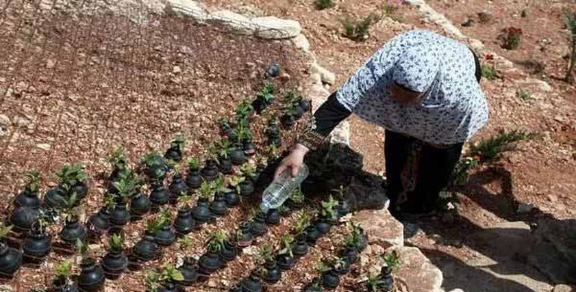 فلسطينية تزرع القنابل ورود