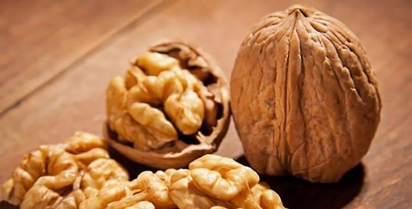 دراسة: تناول الجوز يعزز من وظائف الدماغ في مرحلة الشيخوخة