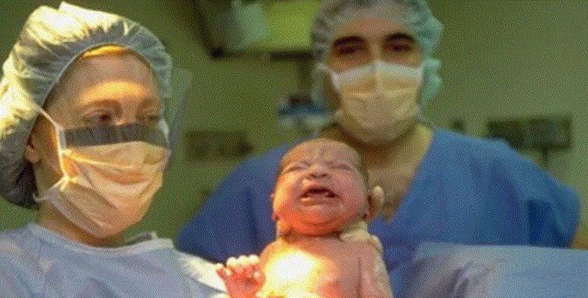 مراحل تكوين الجنين بالصور من أول يوم