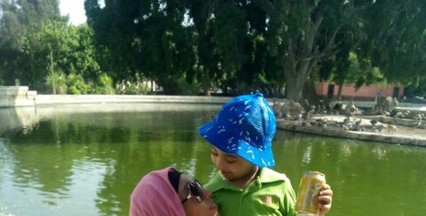 أم وابن
