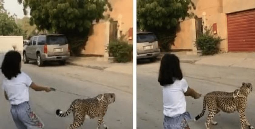 الطفلة السعودية