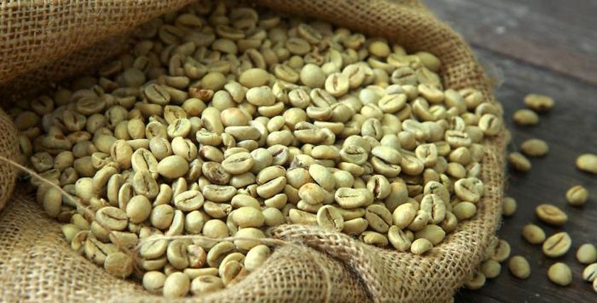 فوائد القهوة الخضراء لفقدان الوزن