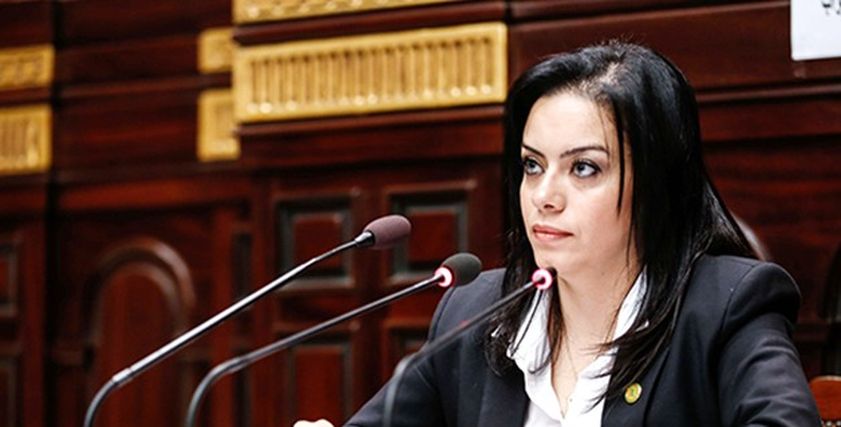 النائبة سيلفيا نبيل عضو الهيئة البرلمانية لحزب المصريين الأحرار، وعضو لجنة الخطة والموازنة بالبرلمان
