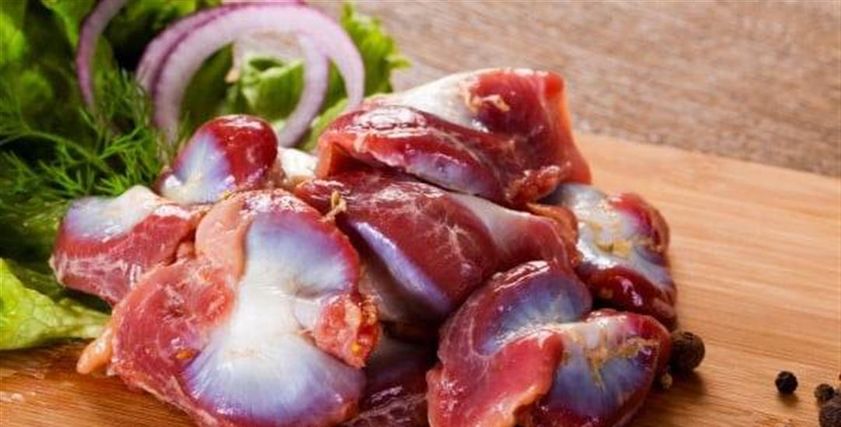 فوائد وأضرار القوانص بالدجاج
