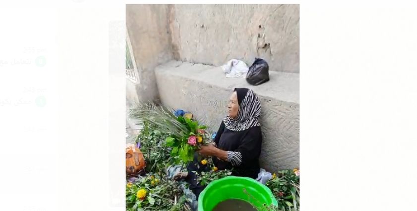 بائعات الورد في المقابر