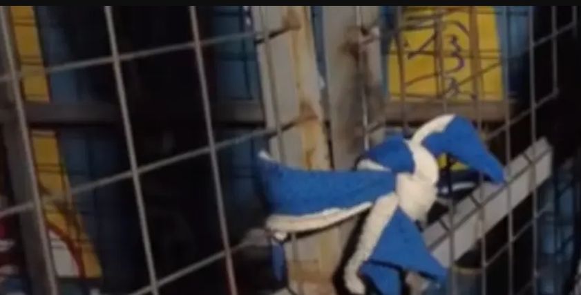 القفص