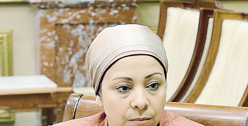 الدكتورة نهاد أبو القمصان، رئيس المركز المصري لحقوق المرأة