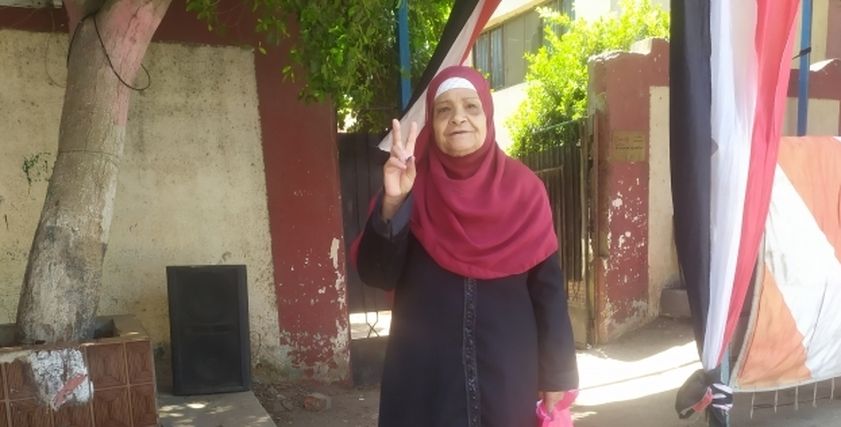 انتخابات مجلس الشيوخ