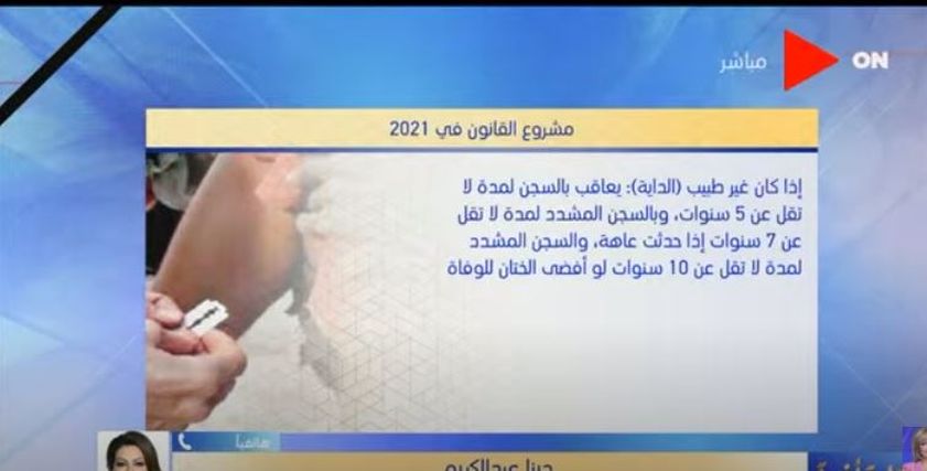 النائبة دينا عبد الكريم