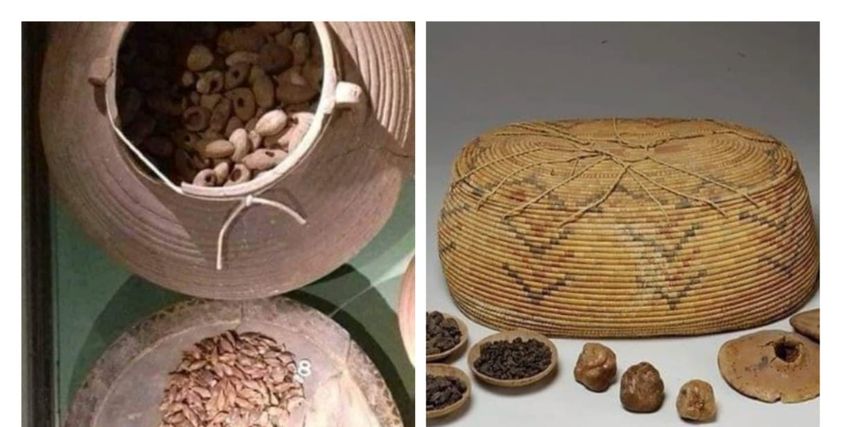 البلح عند المصريين القدماء