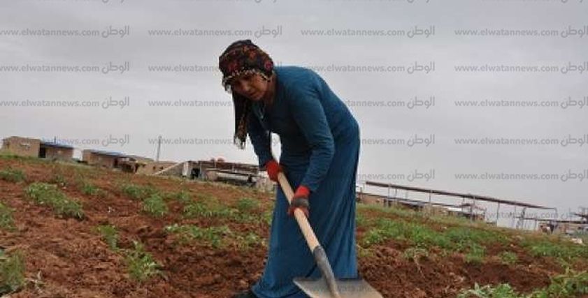 سهام علي