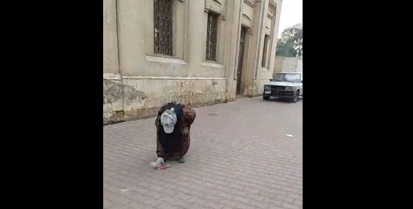أم محمد جامعة القمامة
