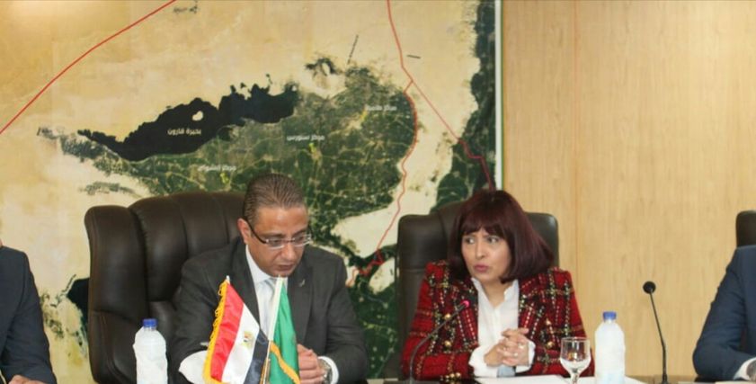 الدكتورة عزة العشماوى