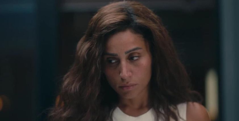 الفنانة دينا الشربيني