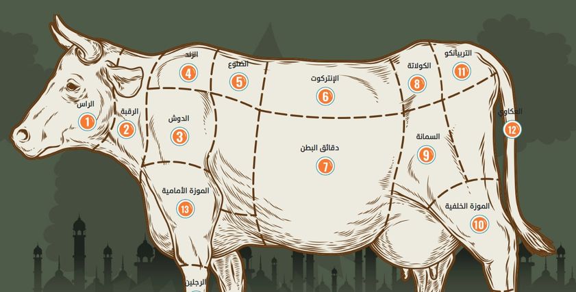 أجزاء البقرة
