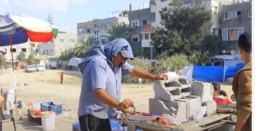 وجبة سكان غزة