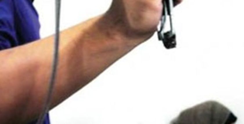 محكمة الأسرة