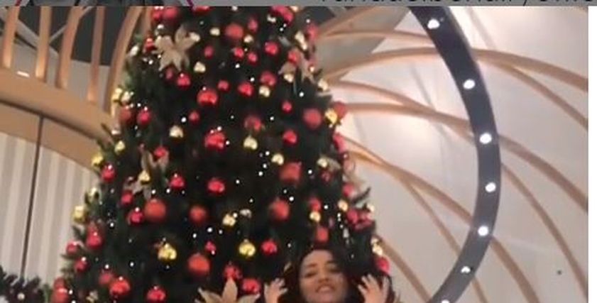 فنانات يستعرضن شجرة الكريسماس