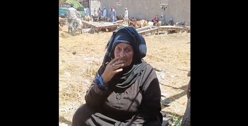 أم أحمد في سوق المواشي