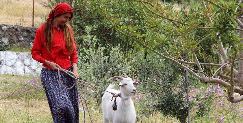 صورة ارشيفية